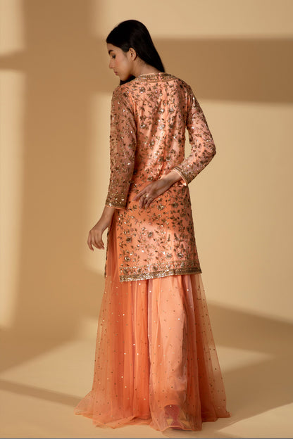 Hand Embroidered Zardozi Sharara